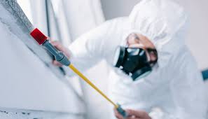 Best Emergency Pest Control  in Hales Corners, WI